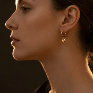 heart drop stainless steel earrings